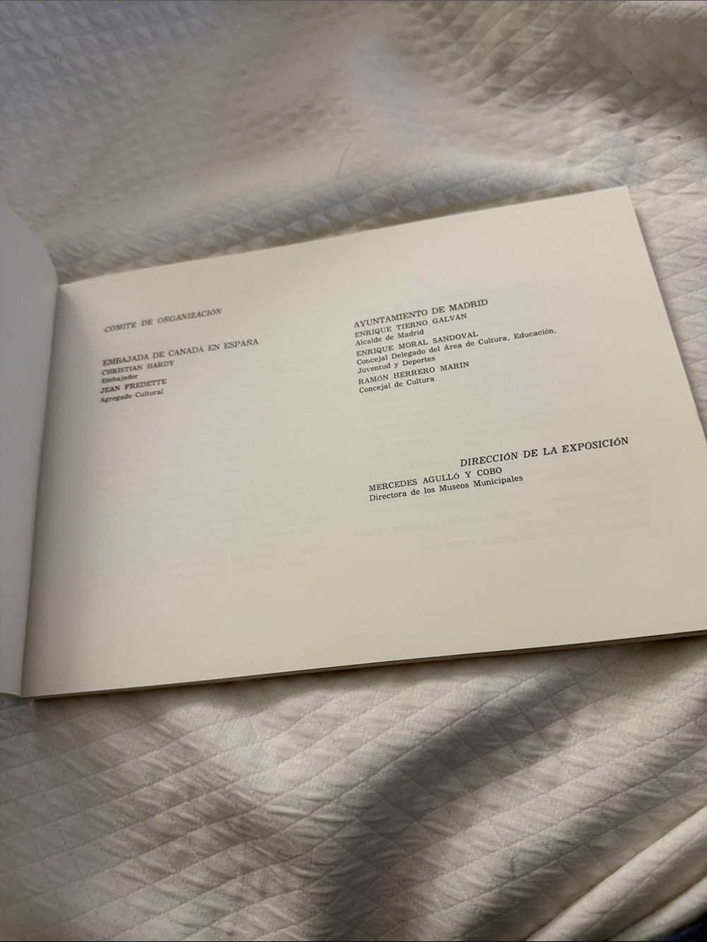 Rare! Vintage 1984 Canadian Art Exhibition Catalogue: "El Paisaje de Canada" - Picture 4 of 6